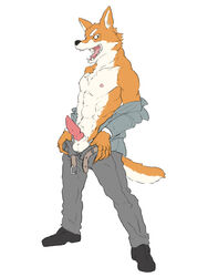 1boy 2015 496549736_(artist) abs animal_genitalia anthro balls belt black_nose canine canine_penis cheek_tuft chest_tuft clothed clothing erection eyebrows footwear fur hi_res knot male male_only mammal muscular nipples open_mouth orange_fur pants partially_clothed penis presenting presenting_penis shirt shoes simple_background solo standing teeth tongue tuft undressing unzipped white_background white_fur