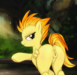 2015 absurd_res animal_genitalia anus ass darkstylerz equine equine_pussy feathered_wings feathers female feral friendship_is_magic grin hair half-closed_eyes hi_res mammal my_little_pony outside pegasus pussy solo spitfire_(mlp) wings wonderbolts_(mlp) yellow_eyes