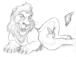 1boy balls chris_mckinley disney erection feline feral lion male male_only mammal penis scar_(the_lion_king) sketch solo the_lion_king