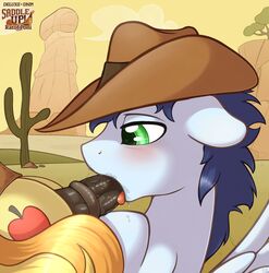 <3_eyes animal_genitalia balls braeburn_(mlp) earth_pony equine erection fellatio feral friendship_is_magic heart horse horsecock male mammal my_little_pony oral pegasus penis pony ratofdrawn sex soarin_(mlp) wings wonderbolts_(mlp) yaoi