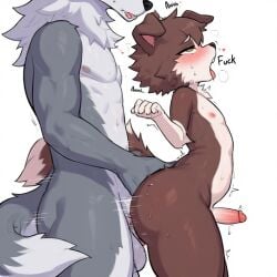 ai_generated anal anal_sex anthro balls big_ass big_booty big_penis big_thighs blush border_collie brown_fur canid canine canis cock cute domestic_dog femboy from_behind furry gay grey_fur horny legoshiboy male male/male medium_penis nude penetration penetration_from_behind penis penis_size_difference smaller_male sweat sweaty thick_butt thick_legs thick_thighs wolf
