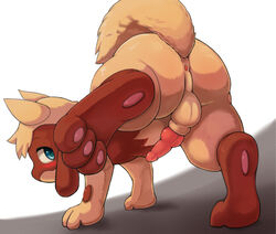 1boy all_fours alternate_color animal_genitalia anthro anus backsack balls blush canine canine_penis dutch_angle eraquis_(character) erection knot legs_up looking_at_viewer looking_back low-angle_shot male male_only mammal nintendo pawpads penis perineum perspective pokemon presenting raised_tail riolu sheath solo video_games yojoo