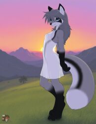 1girls ai_generated anthro arched_back bedroom_eyes black_markings blue_eyes digitigrade female field fox from_side furry furry_female furry_only grey_body grey_fur grey_hair long_hair looking_at_viewer marble_fox mountainous_horizon nipples no_bra no_panties no_underwear side_view small_breasts socks_(marking) solo sundress sunset transparent_clothing transparent_dress useless_clothing white_countershading zorkpics