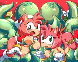 amy rose from sonic (series) by coolblue