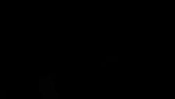 audible_creampie continuous_ejaculation cum cum_in_mouth cum_inside deep_blowjob deep_penetration deepthroat gigantic_penis huge_ass male_moaning moaning_in_pleasure pumping_cum rouge_the_bat sonic_(series) stolen_art tagme video