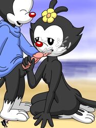 animaniacs beach black_fur breasts brother brother_and_sister clothing cum cum_on_face dot_warner fellatio female flower fur hair_flower incest kneeling licking male mammal nude oral orgasm outside penis plant seaside sex shirt sibling simple_background sister smile straight tongue tongue_out wakko_warner warner_brothers whore_o._matic