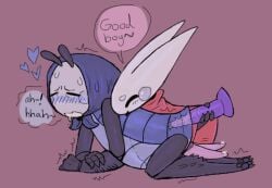 hornet (hollow knight) from hollow knight (franchise)