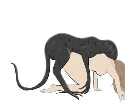 absurd_res bite doggy_style duo female feral feral_penetrating from_behind_position hi_res human human_penetrated kresh male male/female mammal neck_bite penetration scalie sex tintaglia zoophilia