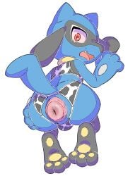 female riolu from nintendo by sharalythesheep