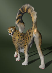 anatomically_correct anatomically_correct_pussy anus bpanthress cheetah feline feral mammal pussy