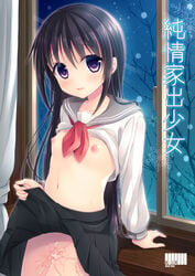 black_hair cover cover_page cum cum_on_body cum_on_lower_body doujin_cover female flat_chest long_hair night night_sky nipples no_panties original purple_eyes school_uniform serafuku shirt_lift skirt skirt_lift sky snowflakes snowing solo standing tamakake window