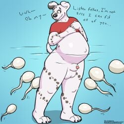 animal_genitalia balls belly big_belly bottomless canid canine canis clothed clothing cudacore dalmatian domestic_dog feet genitals giant_sperm hi_res male mammal navel outie_navel pascal_(cudacore) paws penis penis_tip pool pregnant pregnant_male sheath shirt toes topwear water