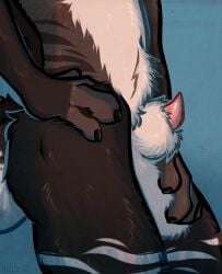 anthro balls close-up eastern_dragon fondling_balls grey_fur lunko male mottled_genitalia mottled_penis peeking_out sheath solo stripes tailtufts white_fur
