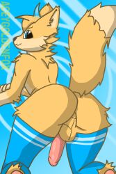 2:3 acey_goldenfox(oc) aceyzegoldenfox anthro ass balls bent_over big_butt blue_background blue_clothing blue_eyes blue_hair_tips blue_legwear blue_thigh_highs butt_focus canid canine clothing ears_up erection exposed_ass fluffy fluffy_tail fox fur genitals humanoid hybrid kneeling legwear looking_at_viewer male male/male mammal nude paws penis simple_background smile solo tail thigh_highs yellow_body yellow_fur