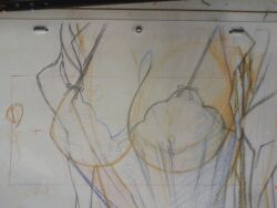 animated animated bakemonogatari bouncing_breasts breasts cleavage hanekawa_tsubasa huge_breasts lowres monogatari_(series) official_art sketch storyboard tagme
