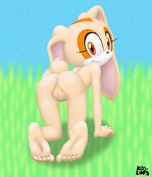 anthro anus cream_the_rabbit female lagomorph mammal nude pussy rabbit sonic_(series) the_roop