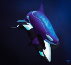 2023 ambiguous_feral ambiguous_gender ambiguous_slit artist_logo barely_visible_genitalia black_body blowhole caustics cetacean cliona_(character) diamond_(marking) dolphin dorsal_fin duo female_(lore) feral fin flukes genitals hi_res hug logo male_(lore) mammal marine markings multicolored_body oceanic_dolphin orca pectoral_fin purple_body star_(marking) toothed_whale two_tone_body underwater veo_(dolorcin) water wesphin white_body year
