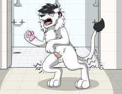 2014 animal_genitalia animal_penis anthro anthro_to_feral balls bathroom biped black_body black_fur black_nose colored crouching digitigrade english_text felid feline_genitalia feline_penis floor fox0808 fur genitals lion male male_only mammal mane mid_transformation motion_lines nude onomatopoeia open_mouth pantherine pawpads paws penis pink_pawpads solo sound_effects standing tail text tile tile_floor transformation tuft white_body white_fur