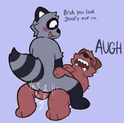 ambiguous_gender anal anal_sex animal_genitalia animal_penis balls balls_deep bodily_fluids brown_body brown_fur bruh cowgirl_position cum dialogue duo ejaculation from_front_position fucked_silly fur genital_fluids genitals grey_body grey_fur looking_pleasured male male/ambiguous mammal markings nighttime_fishy nonbinary_(lore) oliver_(ohmygoditguppy) on_bottom on_top orgasm_face penetration procyonid raccoon ring_(marking) ringed_tail screaming sex smirking_at_partner striped_markings striped_tail stripes tail tail_markings text thrust_lines trans_(lore) william_(ohmygoditguppy)