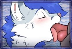 animal_genitalia animal_penis animated anthro blue_hair blush blush_lines canine_genitalia canine_penis closed_eyes deep_throat duo enfield fellatio female fluffy fur gabriel_serealia genitals hair hand_on_penis holding_penis knot licking loop mantucat oral oral_only oral_penetration penetration penile penis sex sheath short_playtime solo tongue tongue_out tongue_out_fellatio white_body white_fur