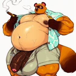 tom nook from animal crossing