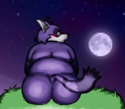 16:9 1boy anthro ass big_butt big_the_cat blush colored digital_drawing_(artwork) digital_media_(artwork) felid feline fur furry grass looking_at_viewer looking_back male male_only mammal moon nude overweight plant purple_body purple_fur sega shaded sky solo sonic_(series) sonic_the_hedgehog_(series) tail virgobiologist widescreen