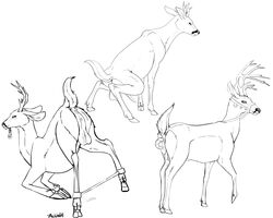 after_sex anal_insertion anus ass ass_up back_view backlash91 backsack balls black_and_white candy candy_cane cervine crouching cum cum_on_ass feral food food_play harness hooves improvised_sex_toy line_art male mammal monochrome multiple_images perineum presenting presenting_anus quadruped reindeer sagging_balls solo spreader_bar standing
