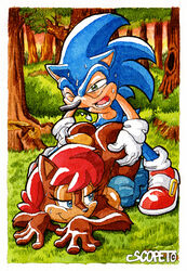 ass breasts doggy_style escopeto nipples on_all_fours outside sally_acorn sonic_(series) sonic_the_hedgehog