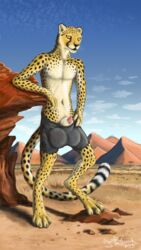 2015 animal_genitalia anthro balls barbed_penis big_balls big_sheath cheetah clothing cryme_the_cheetah feline feline_penis flaccid fur huge_balls hyper hyper_balls jasiri looking_at_viewer male_only mammal orange_eyes penis presenting realistic rock sand savanna sheath shorts spots standing underwear whiskers white_fur yellow_fur