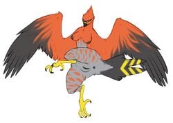 anthro anthrofied anus avian beak breasts claws crobat_(artist) digitigrade feathers female furry furry_only hi_res nintendo nude pokémon_(species) pokemon pokemon_(species) pussy simple_background solo talonflame video_games white_background wide_hips