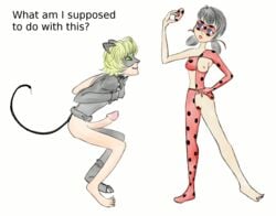 adrien_agreste animated cat_noir imminent_sex ladybug_(character) marinette_cheng marinette_dupain-cheng mask miraculous_ladybug moistythirst straight straight_hair