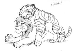 2boys anal chris_mckinley disney feline feral gay kovu lion male male_only mammal sketch the_lion_king tiger yaoi