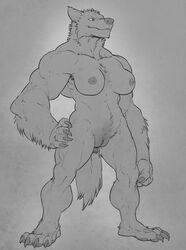 1girls 2015 4_toes 5_fingers anthro anthro_only biceps big_muscles body_fur breasts canine claws female female_only fluffy_tail forge_(artist) furry greyscale hand_on_hip hi_res looking_at_viewer mammal monochrome muscles muscular_female nipples no_humans nude plantigrade pussy simple_background smile solo standing thewielder toe_claws toes vagina were werewolf