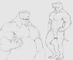 1boy 2015 4_toes 5_fingers abs animal_penis anthro balls ballsack biceps big_muscles body_fur canine canine_penis claws flaccid_penis floppy_ears forge_(artist) greyscale hand_on_hip male male_nipples male_only male_pubic_hair mammal masculine mature_male monochrome multiple_poses muscles muscular_male nude_male pecs penis plantigrade pose scrotum sheath simple_background sketch solo standing tail testicles thewielder toe_claws toes