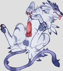 1boy anus balls canine digimon digimon_(species) erection feral garurumon knot lacrimale lying male male_only mammal on_back pawpads presenting sheath signature solo tongue tongue_out