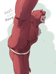 2025 abs anthro anus ass balls bear black_eyebrows chest_tuft chirasgi clothing dated erection eyebrows fur fur_tuft genitals hi_res kumatetsu male male_anthro mammal nipples open_mouth pecs penis perineum teeth the_boy_and_the_beast tongue tuft underwear