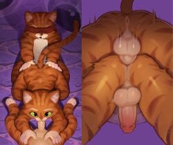 evil puss from dreamworks by pandarita