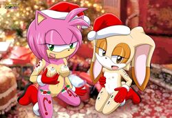 amy rose from christmas by bbmbbf