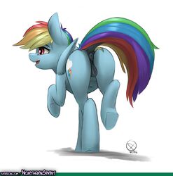 2016 anatomically_correct anatomically_correct_pussy animal_genitalia anus ass cutie_mark dock equine equine_pussy female feral friendship_is_magic hair hooves mammal multicolored_hair my_little_pony northernsprint open_mouth patreon pegasus pussy rainbow_dash_(mlp) rainbow_hair simple_background solo underhoof white_background wings