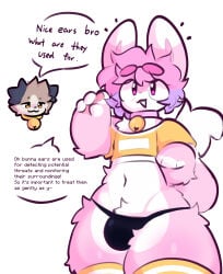 absurd_res anthro balls bell bell_collar belly big_butt bulge bunymarch42 butt canid canine canis clothed clothing collar crop_top digital_media_(artwork) domestic_dog duo english_text erection fritz_(winteriris42) fur genitals hair hi_res humanoid_genitalia humanoid_penis hybrid kaden_(winteriris42) lagomorph leporid male male/male mammal navel open_mouth penile penis pink_body pink_fur rabbit sex shirt simple_background smile tail text thick_thighs tight_clothing topwear white_body white_fur wide_hips