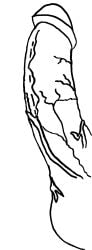 black_and_white cock cock_worship coloring_page dick digital_drawing drawing genital_focus genitals ms_paint not_colored penis penis_focus vein veins veiny veiny_penis