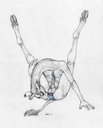 2016 Rule 34 Image