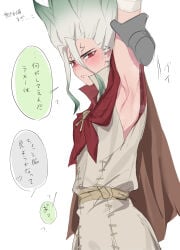 armpits arms_up dr.stone ishigami_senku male male_focus male_only