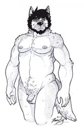 5_fingers baraking belly_fluff black_hair canine flaccid hair humanoid_penis line_art male male_only mammal muscular muscular_male nipples partially_retracted_foreskin penis simple_background solo standing traditional_media_(artwork) uncut