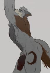 abs anthro areola balls big_penis black_areola black_eyebrows black_nipples black_penis bodily_fluids brown_body brown_fur butt canid canine canis chest_tuft colored digital_drawing_(artwork) digital_media_(artwork) eyebrows foreskin fur genital_fluids genitals green_eyes grey_background grey_body grey_fur grey_hair hair half-erect hi_res humanoid_genitalia humanoid_penis looking_at_viewer maison_6 male mammal muscular nipples nude pecs penis pinup pose precum pubes short_hair side_view simple_background smile snout solo tail thick_eyebrows tuft vein veiny_penis wolf