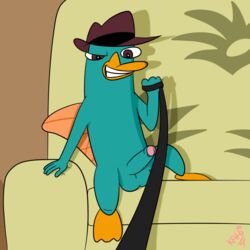 1boy 2016 anthro balls disney domination erection foreskin kahisys leash leash_pull leashed_pov looking_at_viewer male male_only mammal monotreme partially_retracted_foreskin perry_the_platypus phineas_and_ferb platypus sex smile solo uncut