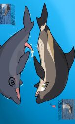 1145_(artist) animal_genitalia animal_penis aquatic bottlenose_dolphin cetacean chinese_text clitoral_winking clitoris dolphin duo ejaculation fainting female feral feral_on_feral genitals hi_res lagenorhynchus_acutus male male/female mammal oceanic_dolphin open_mouth open_smile penis sex shaking smile text toony toothed_whale unconscious underwater underwater_sex underwater_view vulva water