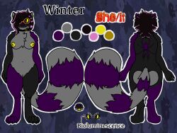 4:3 absurd_res anthro choker clitoris cool_text_graphics_generator ear_piercing eyewear female fur genitals glasses grey_body grey_fur hi_res jewelry mammal model_sheet my_chemical_romance necklace nipples piercing procyonid purple_body purple_fur raccoon raccoon_tail solo standing winrawrexe winter_ithring yellow_clitoris yellow_genitals yellow_nipples yellow_sclera