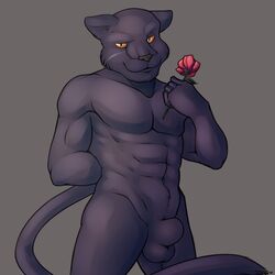 1boy anthro balls feline fetchmonkey flower male male_only mammal nintendo nude panther panther_caroso plant rose sheath solo star_fox video_games