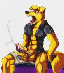 1boy 5_fingers abs anthro balls black_nose blush bojack_horseman bottomless canine clothed clothing colfax cum cumshot erection fur half-dressed humanoid_penis looking_at_viewer male male_only mammal masturbation mr._peanutbutter open_clothes open_mouth open_shirt orgasm penis shirt simple_background sitting solo teeth tongue tongue_out uncut underwear underwear_around_one_leg vein veiny_penis white_background yellow_fur